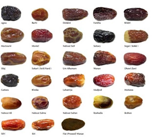 Mengenal Jenis Jenis Kurma Mengenal Jenis Jenis Kurma