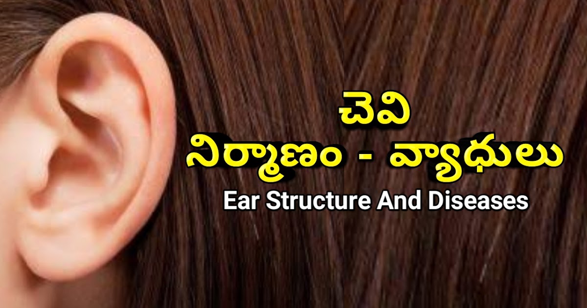 Student Soula Ear Structure And Diseases In Telugu చెవి నిర్మాణం