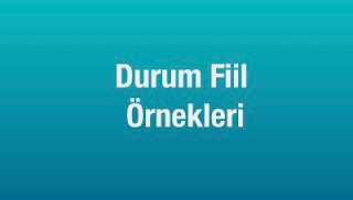 Durum Fiil Örnekleri