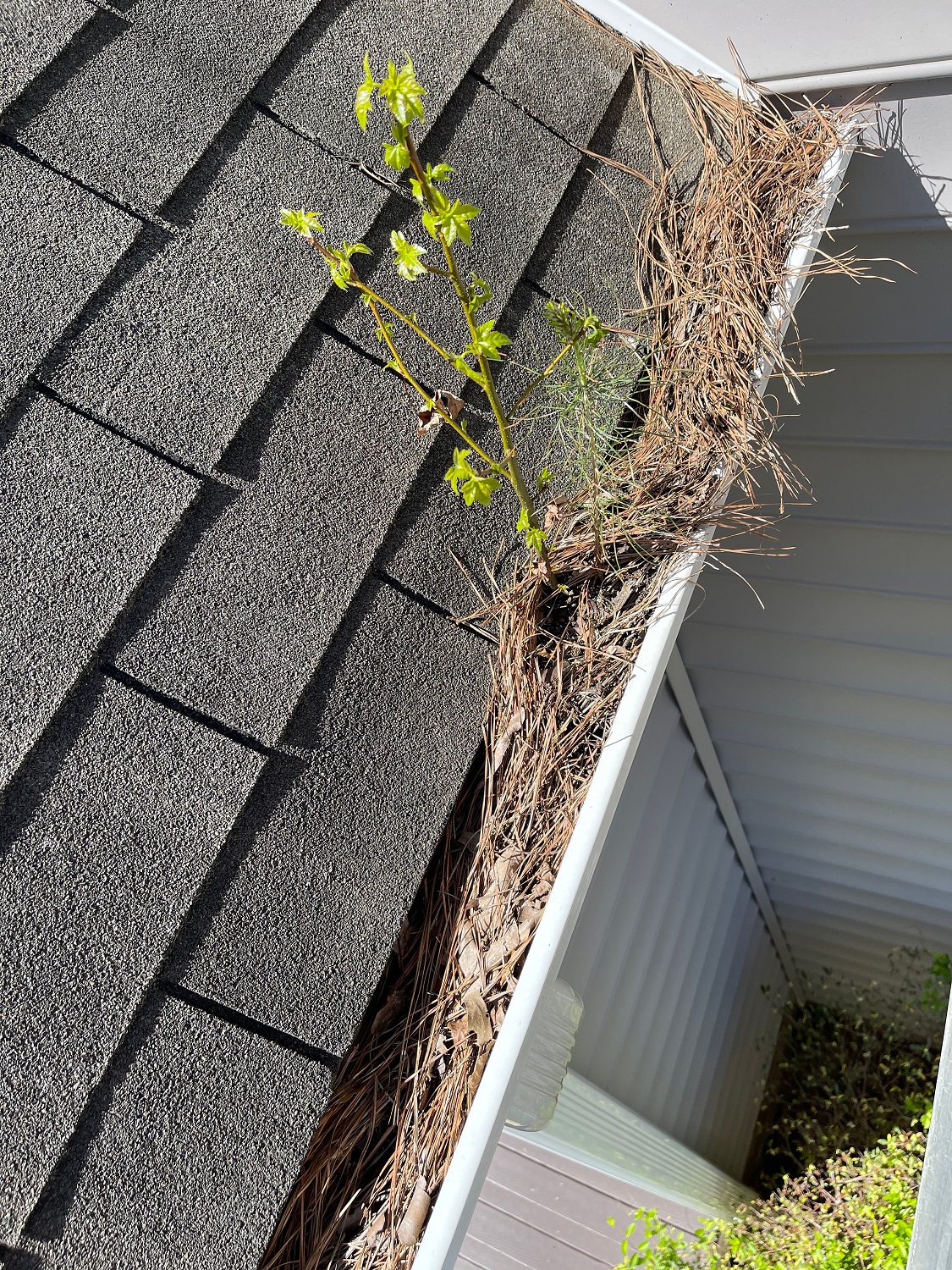 Johnson City Gutter Cleaning