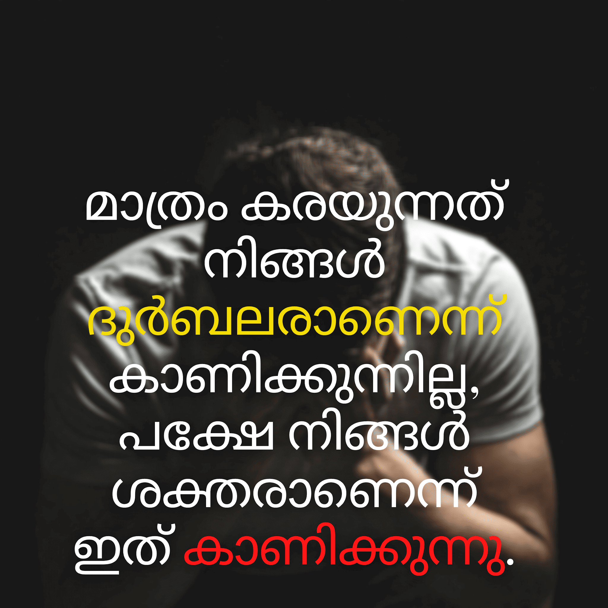 Best Malayalam Status With image For WhatsApp WhatsApp Quotes Malayalam