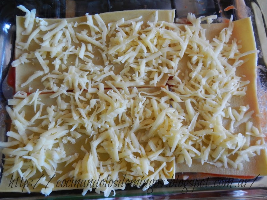 lasaña de carne y vegetales