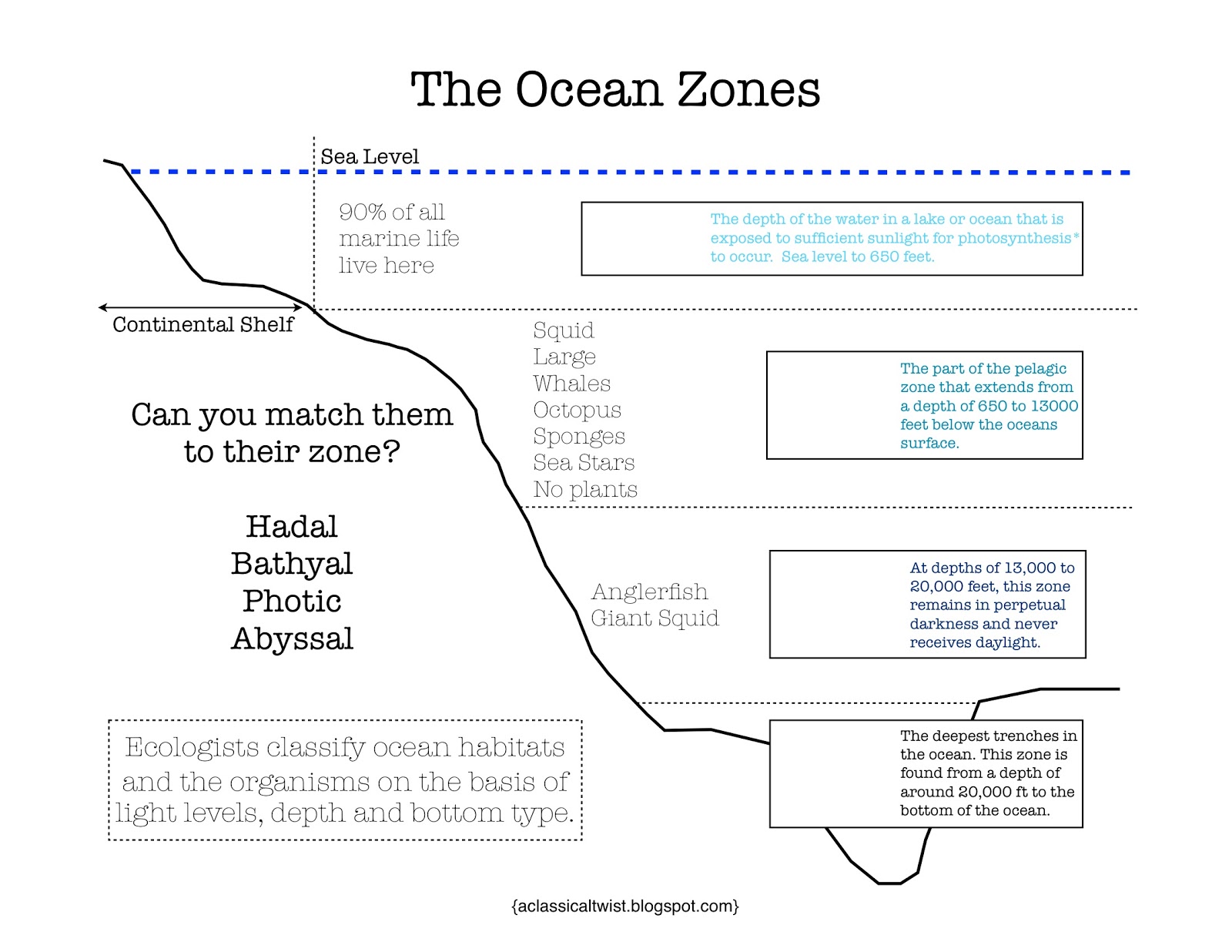 homeschooling-with-a-classical-twist-ocean-zones-printable