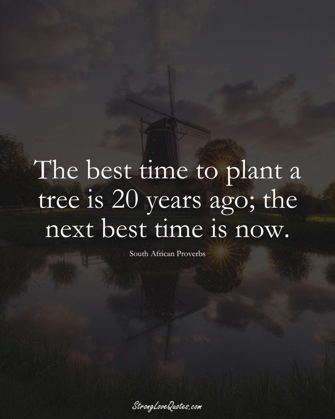 The best time to plant a tree is 20 years ago; the next best time is now. (South African Sayings);  #AfricanSayings