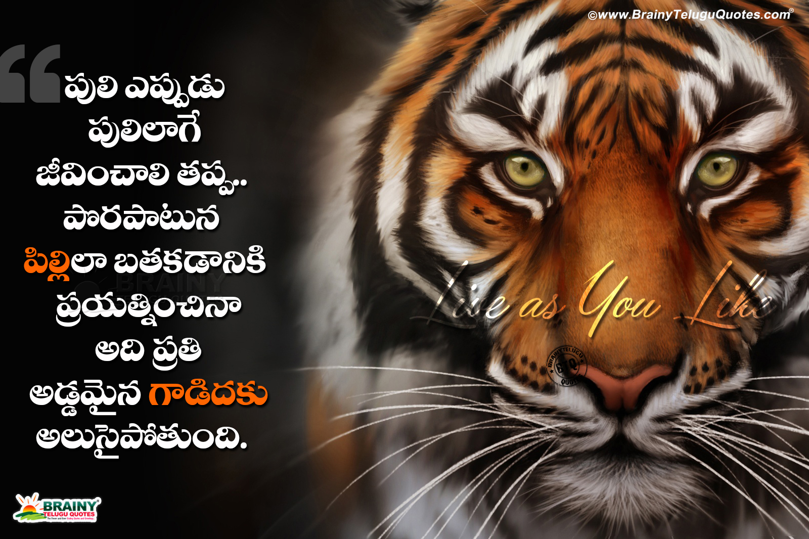 Featured image of post Love Attitude Quotes In Telugu / Telugu attitude bullet journal quotes inspiration biblical inspiration mindset.