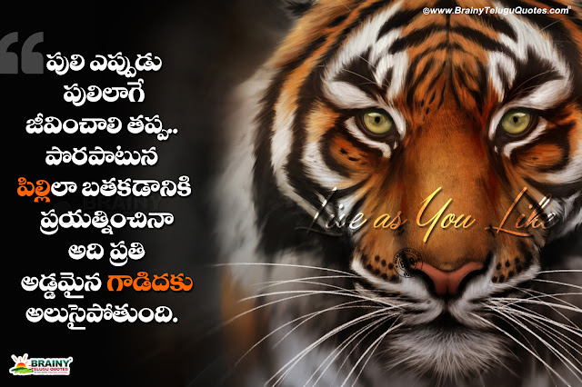 Featured image of post Quotes On Attitude In Telugu : Quotes from famous authors, movies and people.