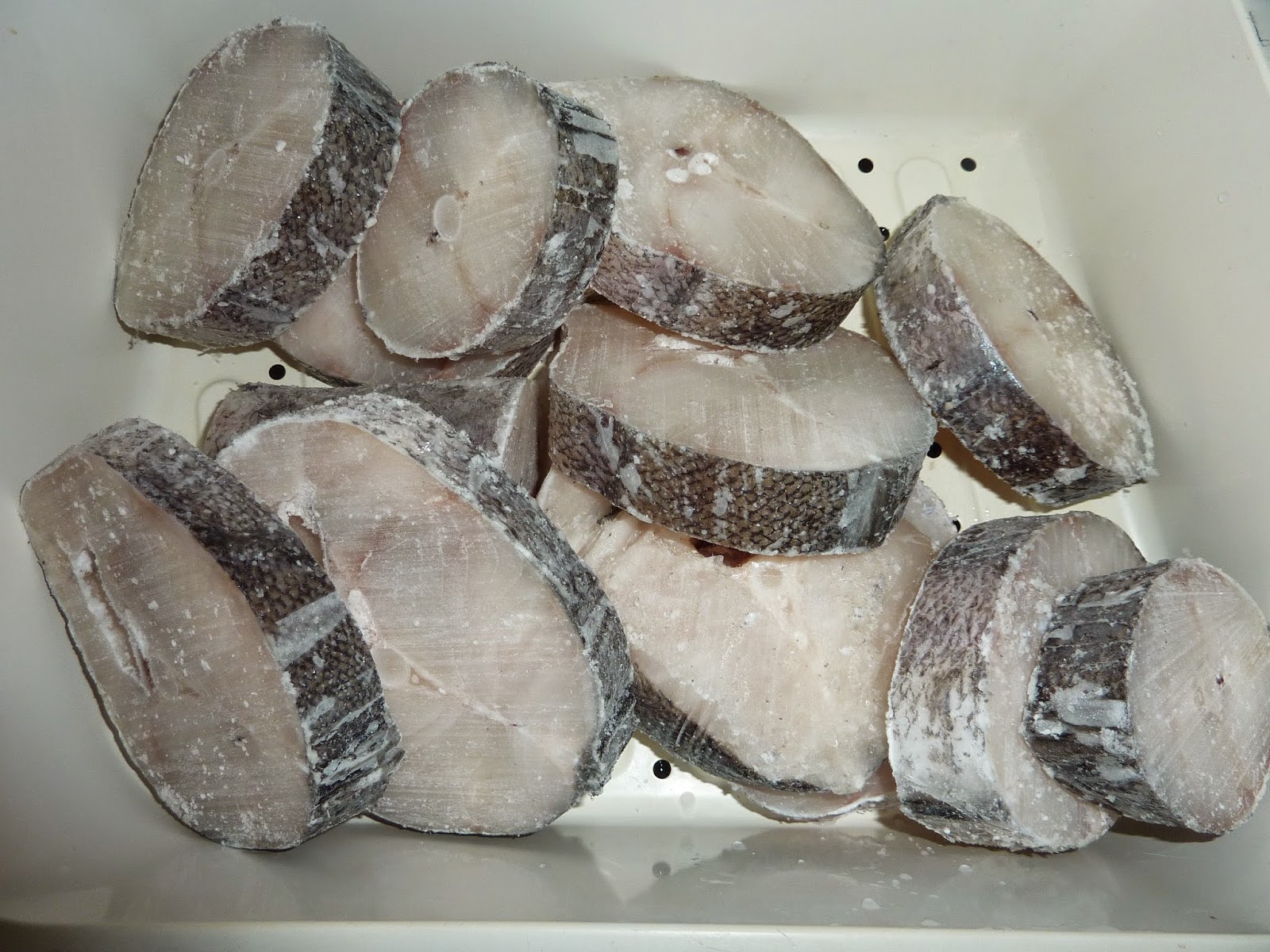 O meu pensamento viaja 1230 PEIXE!