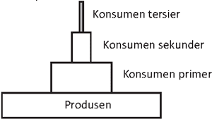 contoh soal skb guru biologi cpns contoh soal skb guru biologi cpns