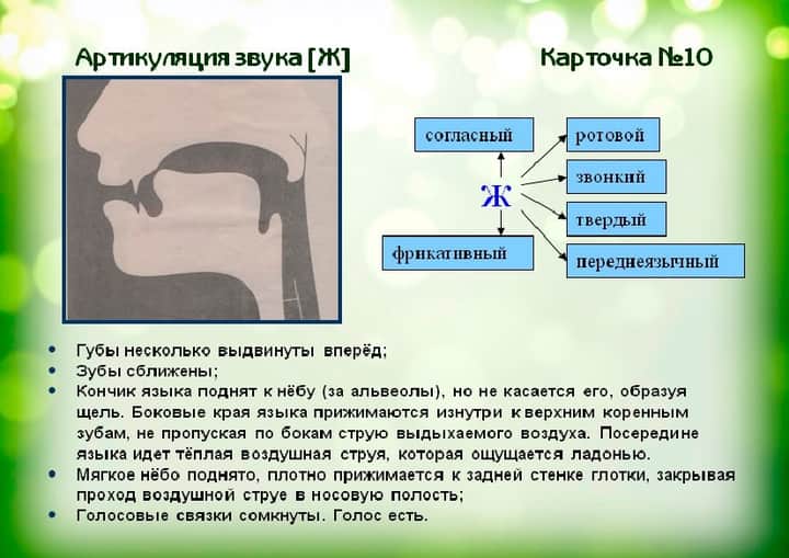 артикуляционный профиль звука с. артикуляция звука ц описание. норма артикуляции звука с. характеристика звука з. артикуляция звука й.