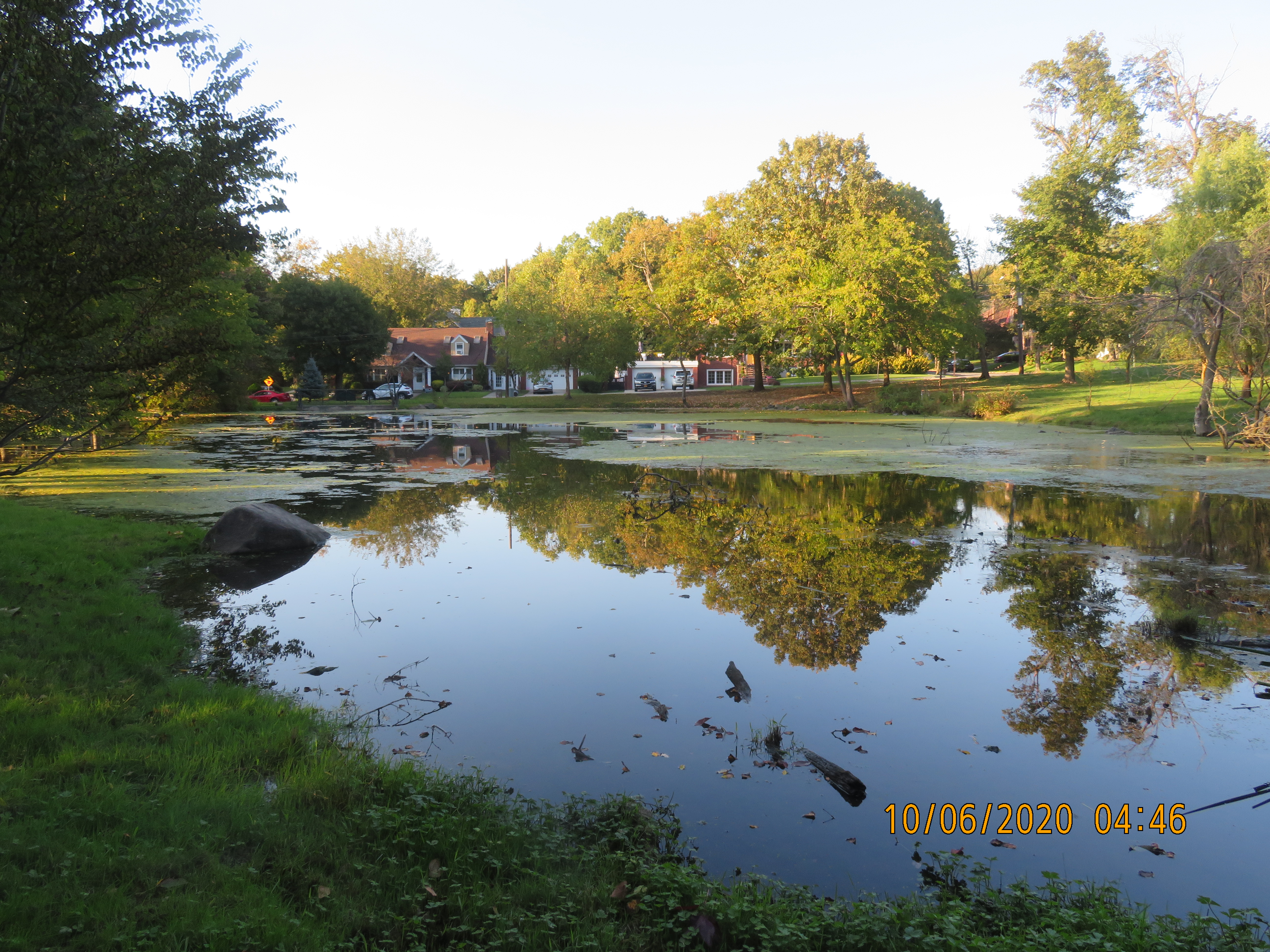 The Great Lakes of NYC Goodhue Park Allison Park Pond