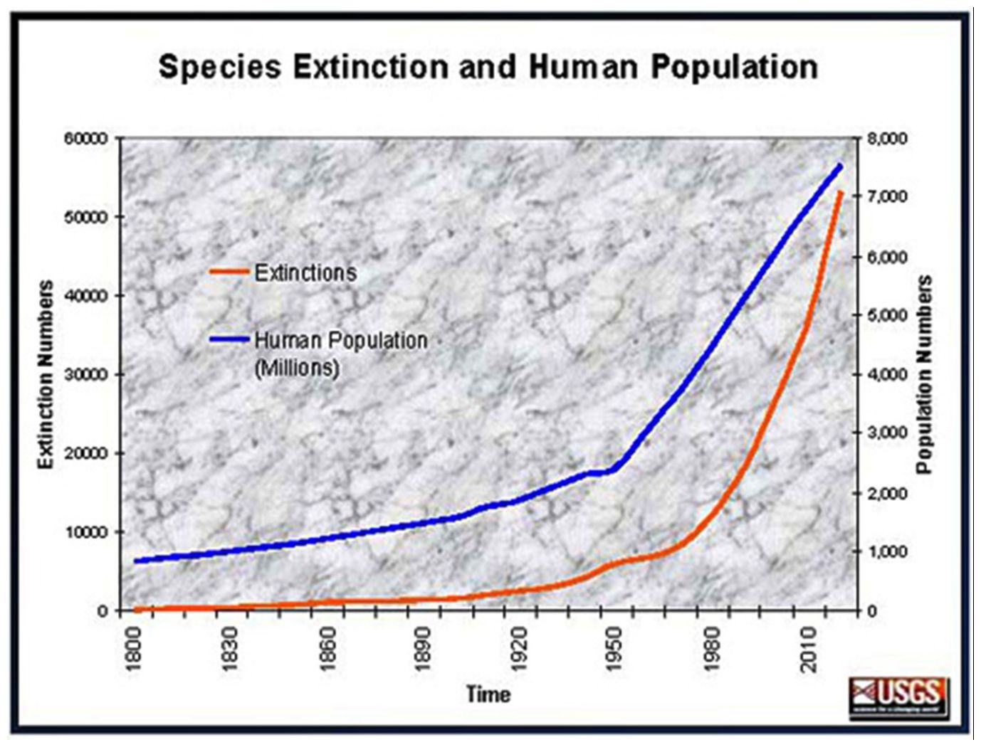 Montclair High School Bio Blog Biggest Species Extinction Since Dinosaurs montclair-high-school-bio-blog-biggest-species-extinction-since-dinosaurs