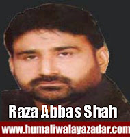 http://ishqehaider.blogspot.com/2013/07/raza-abbas-shah-nohay-2014.html