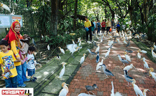 كوالالمبور بيرد بارك كوالالمبور بيرد بارك KL Bird Park