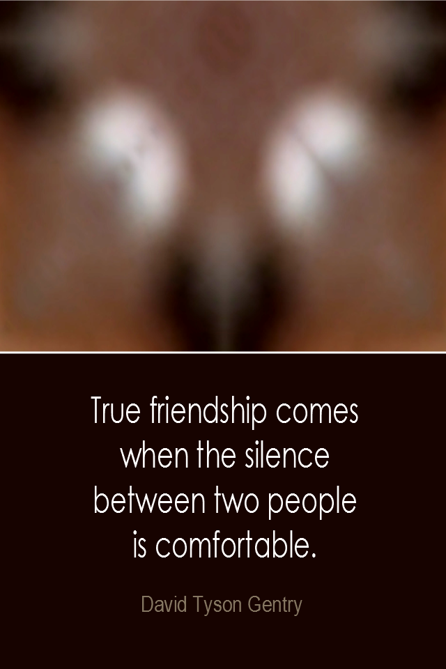 visual quote - image quotation: True friendship comes when the silence between two people is comfortable. - David Tyson Gentry