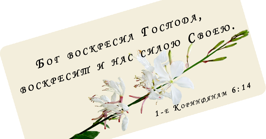 1 коринфянам 5. 1 коринфянам 6. 1 коринфянам 6. 1 коринфянам 6. Блудники и прелюбодеи царства божия не наследуют.