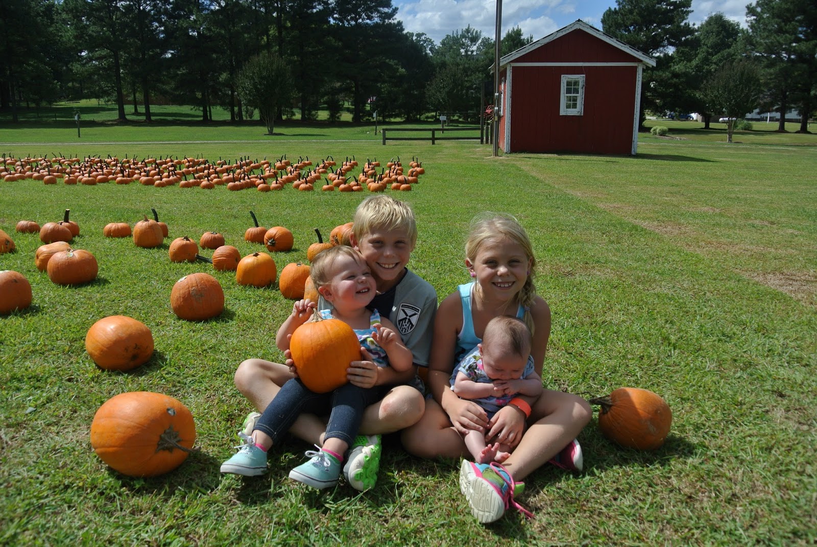 The Parrish Life: Hill Ridge Farms!!
