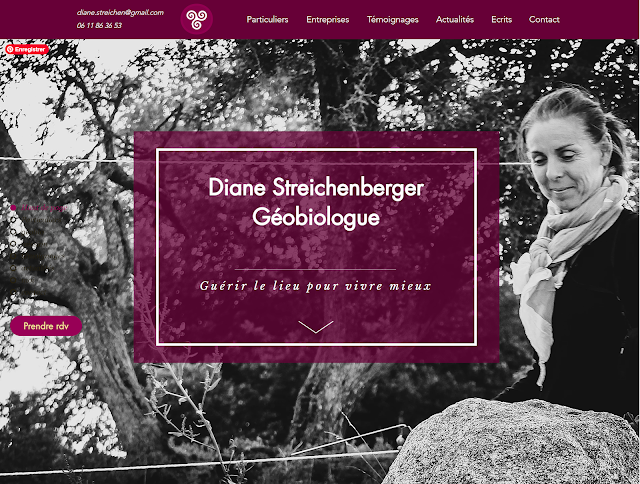 Site Diane Streichenberger Géobiologue