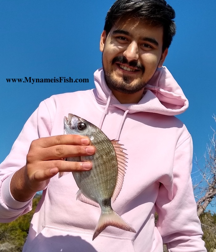 White Seabream Fishing in Turkey