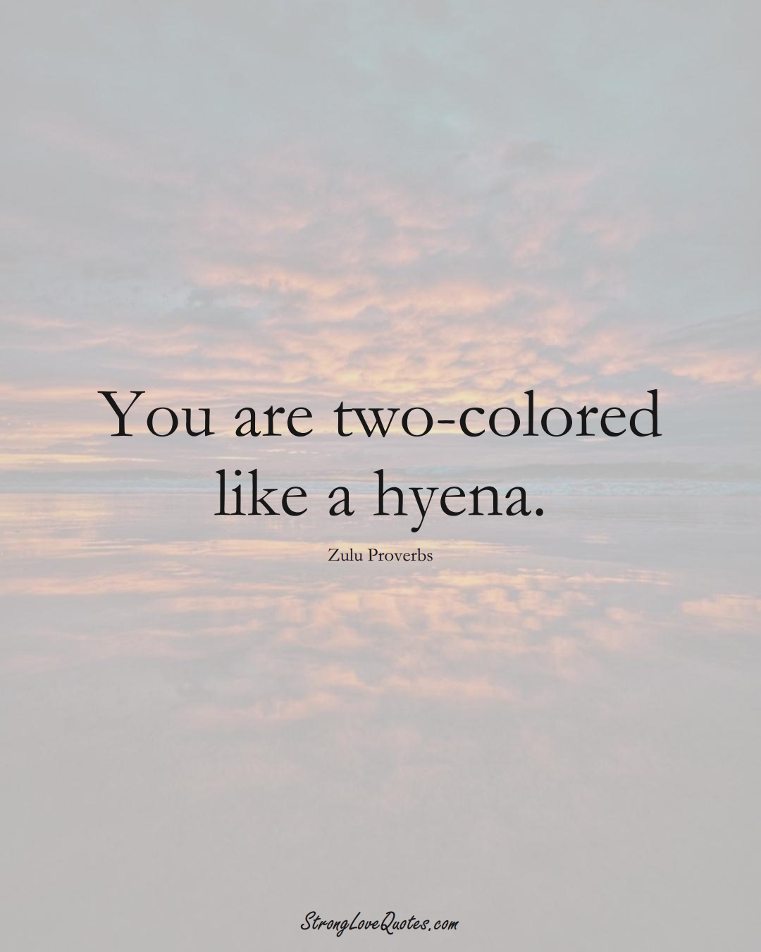 You are two-colored like a hyena. (Zulu Sayings);  #aVarietyofCulturesSayings