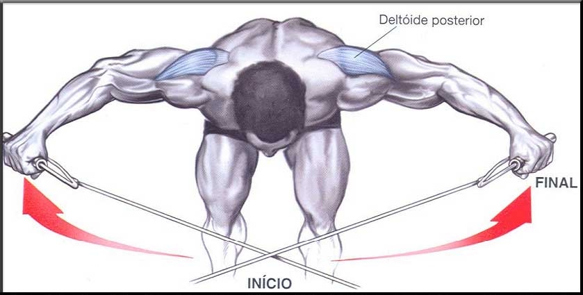 Levantamento-lateral-com-inclinacao-pra-
