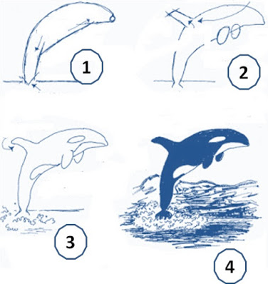 Cara Menggambar Hewan Laut Terlengkap Untuk Anak