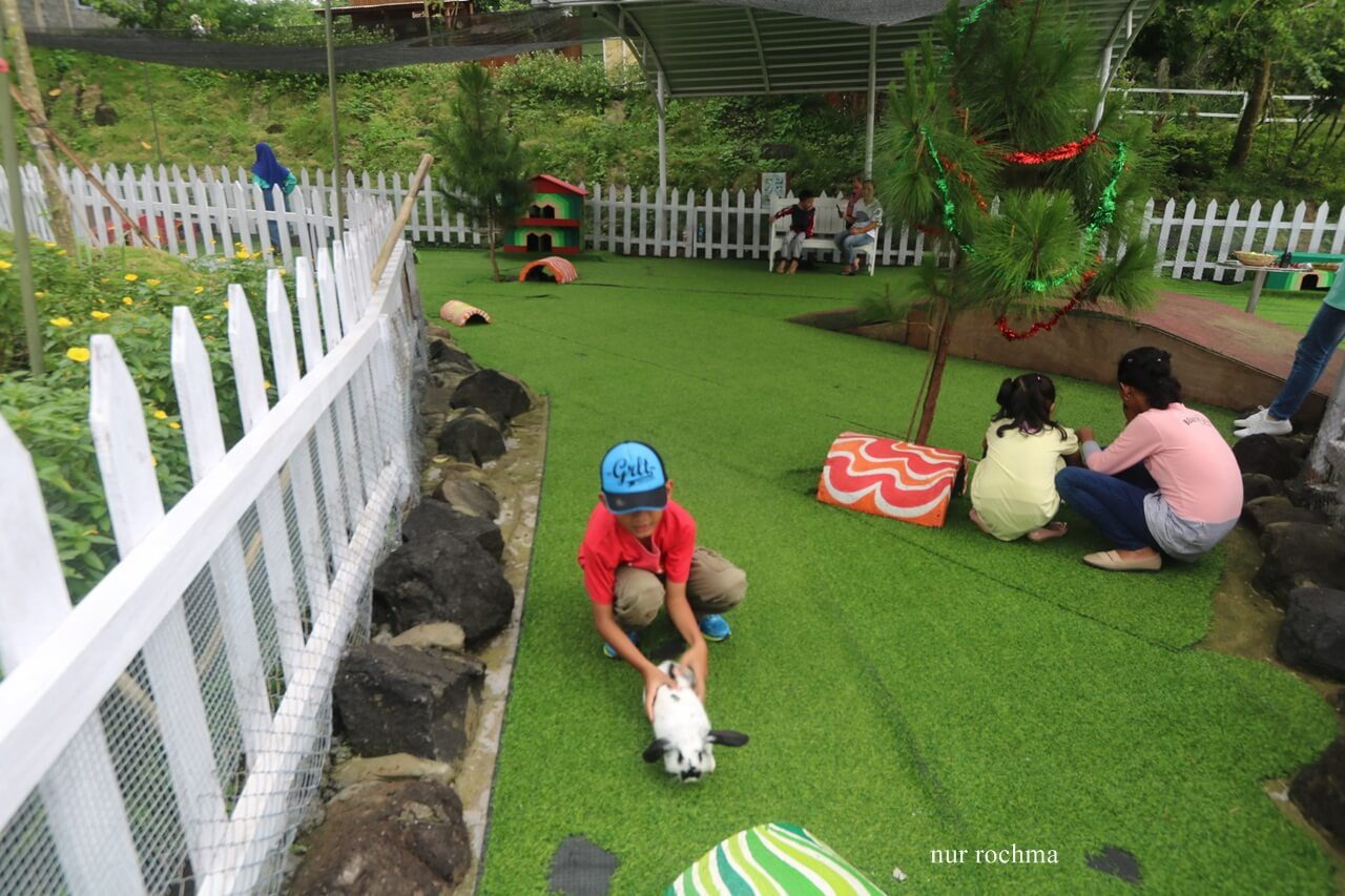 Cat House and Rabbit Town Merapi Park