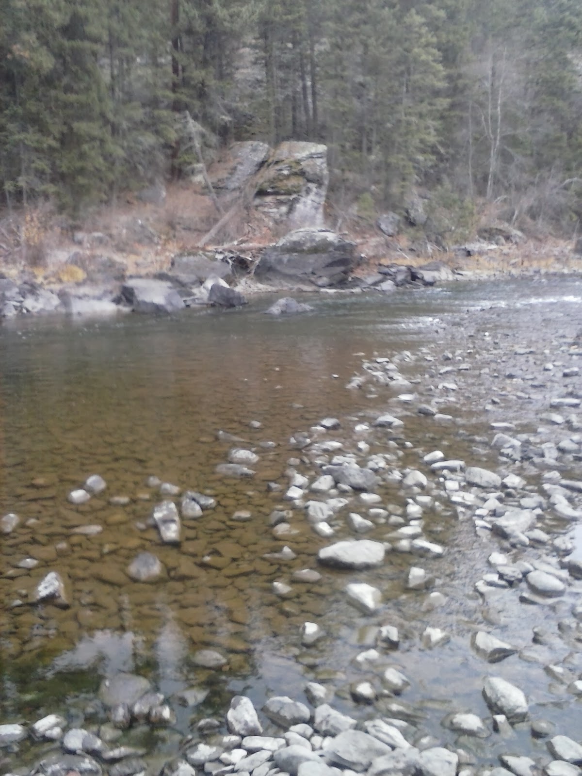 The Ultimate Trout Fishing Blog Bait For Trout Rules For Using Live