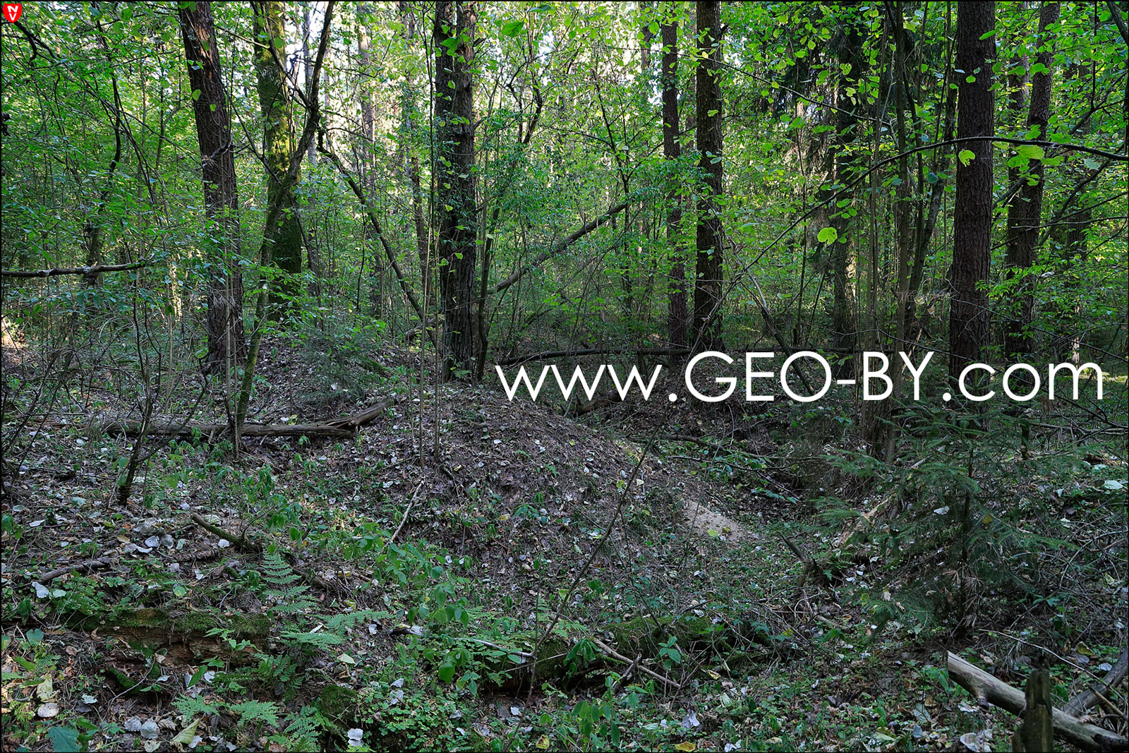 Geo BY: Наваколлі Гiрава. Літоўскі лес. Два нямецкіх цвінтары з Першай .