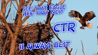 The CTR Eagle