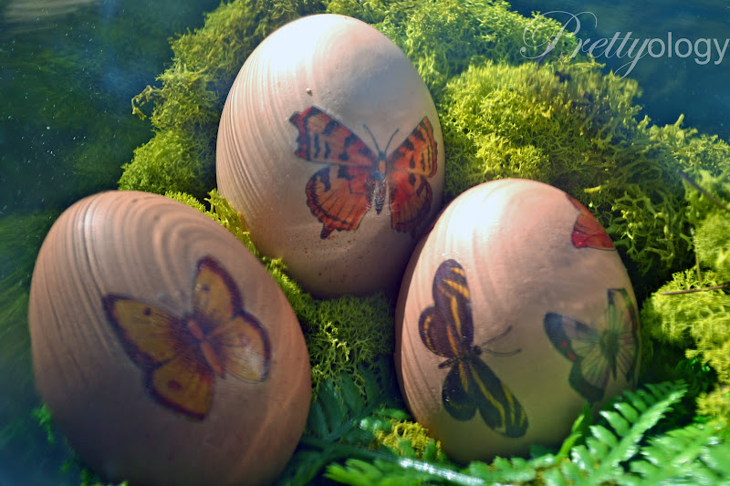 Prettyology Butterfly Eggs