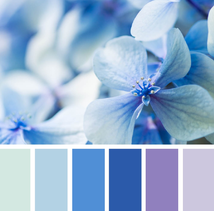 НАХОДЧИВЫЕ РФ: ДИЗАЙН: Сочетание цветов голубого цвета с другими оттенками.