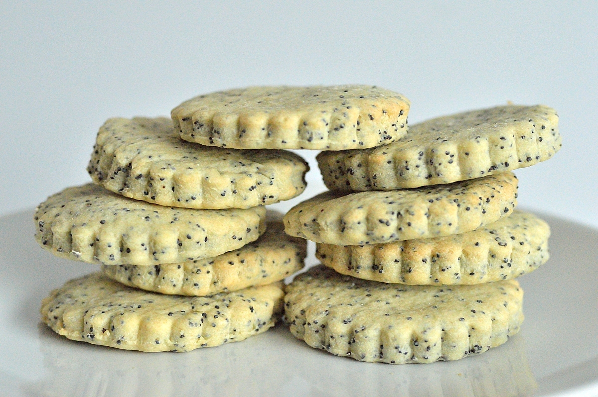 Savoury Biscuits Poppy Seed, and Sundried Tomato and Parmesan