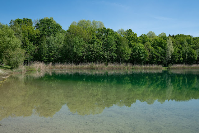 Premiumwanderweg DonAUwald  Etappe 5 von Höchstädt nach Schwenningen 11