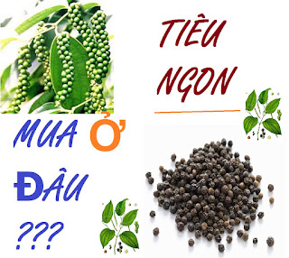 mua tiêu ngon ở đâu