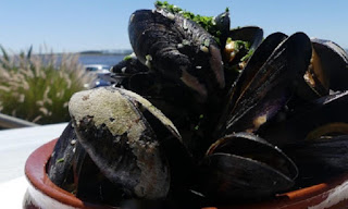 Mejillones a la Provenzal de Buenos Aires