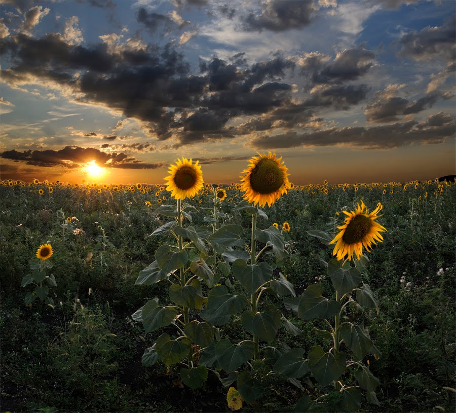 Beauty Of God Some Real And Rare Nature Pictures Of The Day Only Selected Nature Photography Of The World Best Collection
