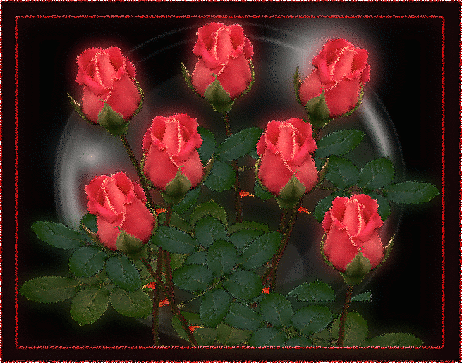 0_5a033_65d3d306_XL.jpg_zpsvxrfbjly.gif