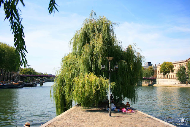 My Travel Background : #ParisPromenade : l'île de la Cité