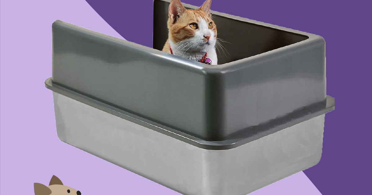NonSticky, PocketFriendly Litter Boxes