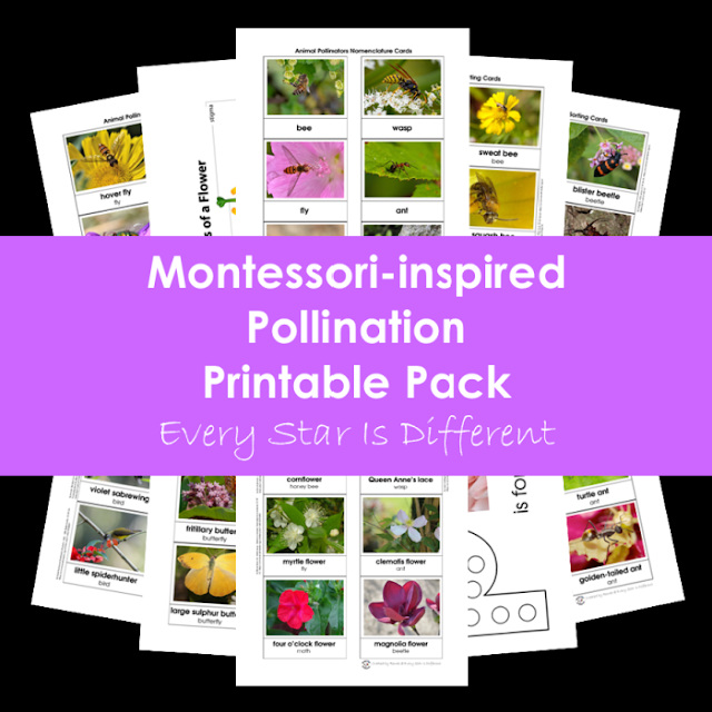 Pollination Printable Pack