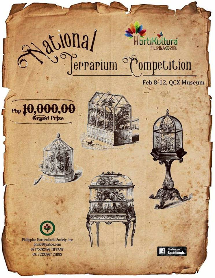 Random Thoughts Terrarium/Vivarium/Planted Aquarium Exhibit and