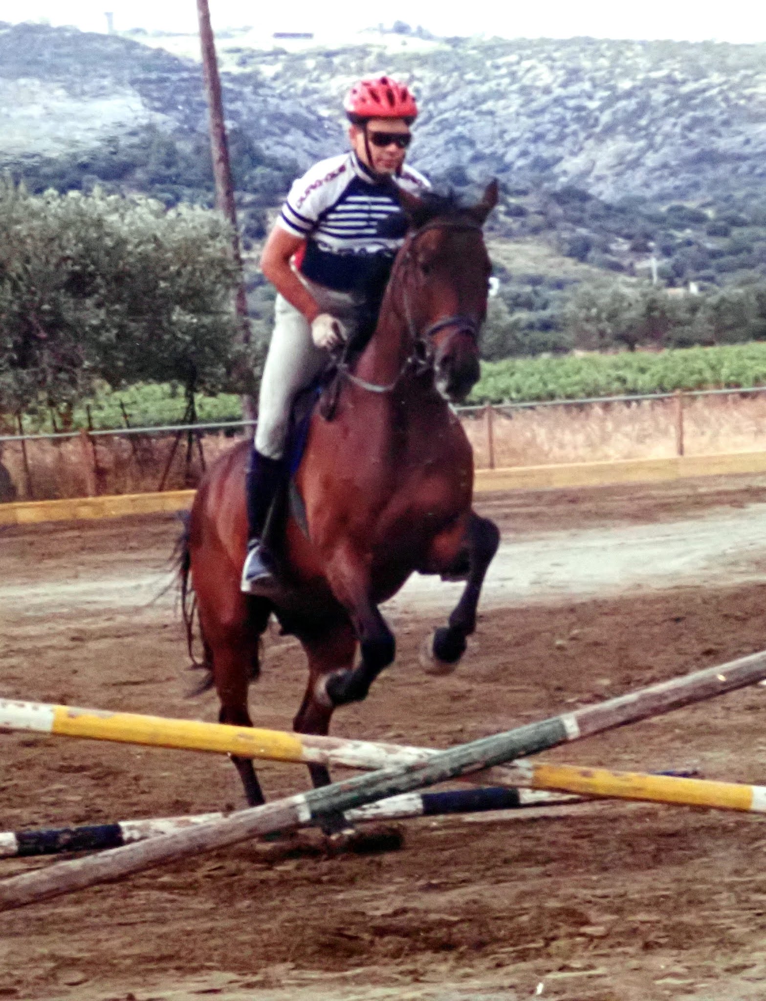 ΕΛΛΗΝΙΚΗ ΕΦΙΠΠΗ ΤΟΞΟΒΟΛΙΑ Rolf Becher