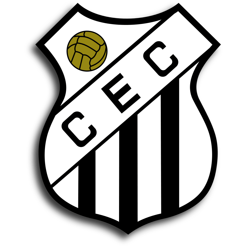 Sudacas Fyc Todos Campeoes Goiano Divisao De Acesso Segunda Divisao