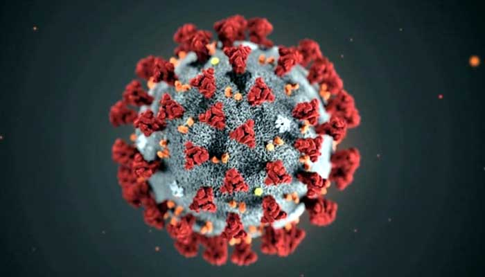 Corona virus and a review in the eyes of Islam ইসলামের দৃষ্টিতে করোনা ভাইরাস ও একটি পর্যালোচনা