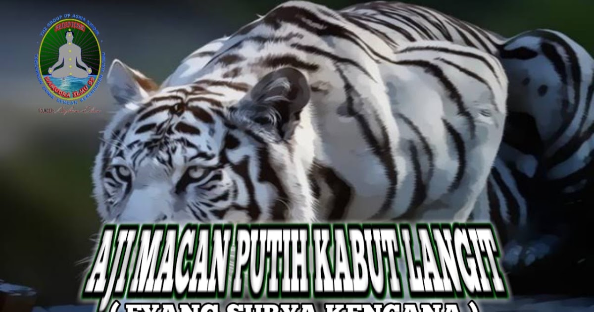 SAMUDRA ILMU 99 AJI MACAN PUTIH KABUT LANGIT