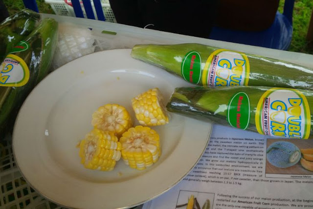 Inilah Jagung Manis Asal Banyuwangi yang Bisa Dimakan Mentah Inilah Jagung Manis Asal Banyuwangi yang Bisa Dimakan Mentah