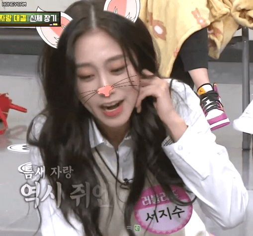 러블리즈 고양이 서지수