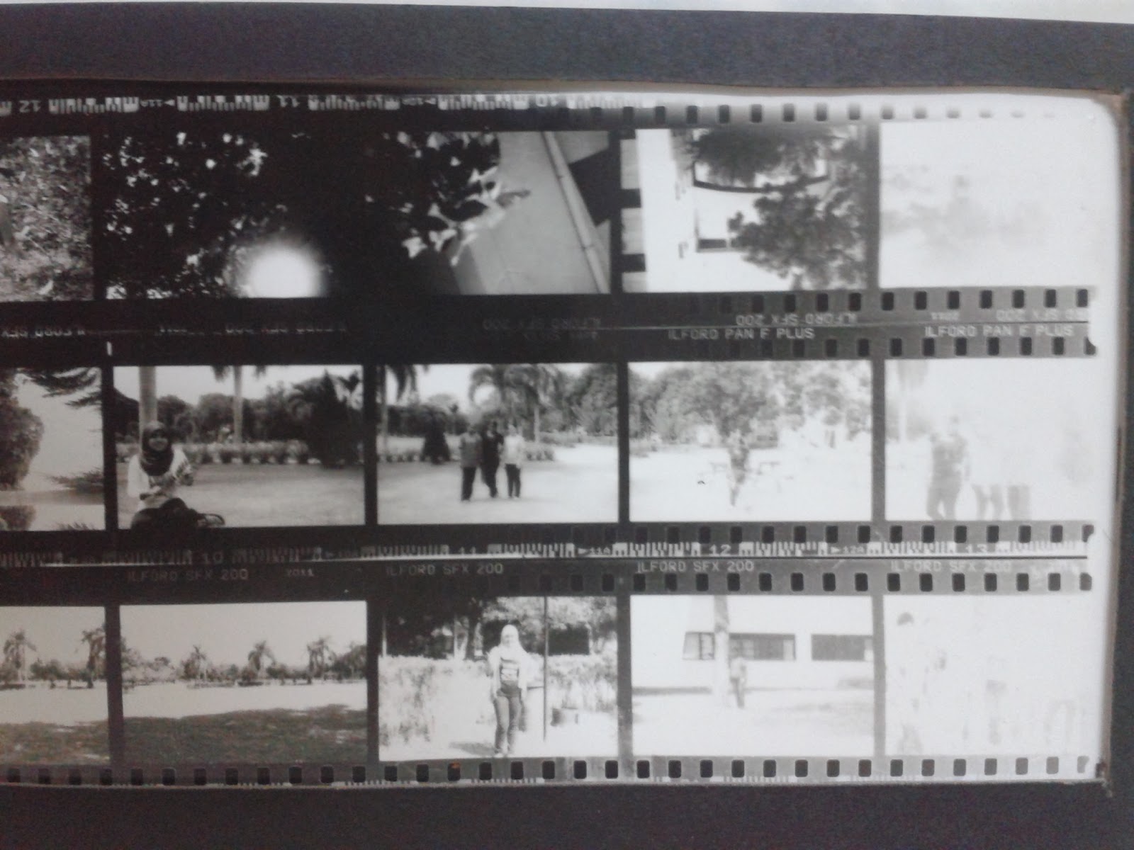 Herrie's Blog Photo Paper Film