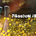 Facebook Timeline Cover Girls - Freedom Is My Right