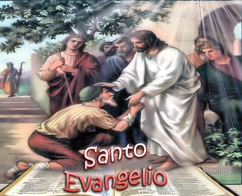 Corazón de Jesús en Vos Confío Santo Evangelio 9 de Julio 2019